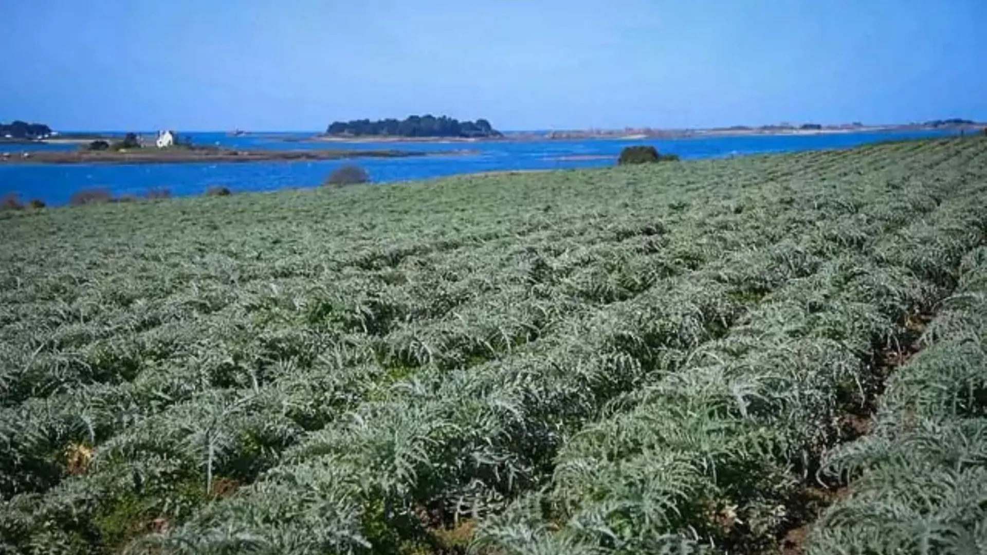 Semesterbostad Maison Beniguet 6 Places Proche Paimpol Et Treguier Pleumeur-Gautier Frankrike